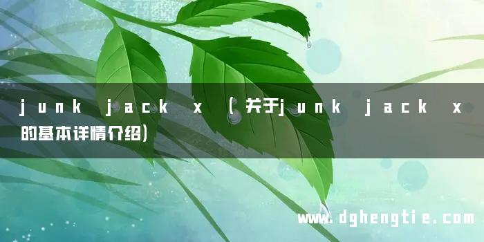junk jack x (关于junk jack x的基本详情介绍)